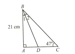 Cho tam giác ABC vuông tại A có AB = 21 cm, góc C = 47 độ Tính độ dài đường phân giác BD của tam giác ABC