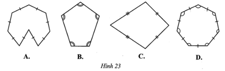 Quan sát các đa giác ở Hình 23 và cho biết hình nào là đa giác đều