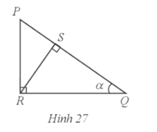 Cho tam giác PQR vuông tại R có đường cao RS và góc Q = α  (Hình 27)