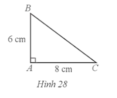 Cho tam giác ABC vuông tại A có AB = 6 cm, AC = 8 cm (Hình 28). Tỉ số lượng giác cot bằng