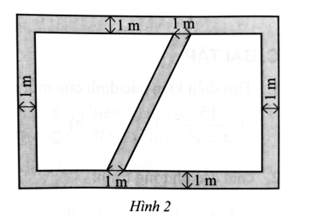 Một mảnh vườn có dạng hình chữ nhật với chiều rộng là 10 m