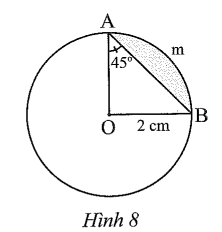 Quan sát Hình 8 và tính: số đo cung AmB, độ dài cung AmB, diện tích hình quạt tròn OAmB