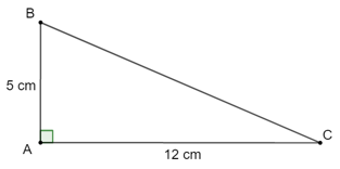 Một tam giác vuông có hai cạnh góc vuông đo được 5 cm, 12 cm. Hỏi sin của góc nhọn nhỏ nhất của tam giác đó bằng bao nhiêu?