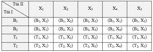 Túi I có 2 viên bi màu đen, kí hiệu là B1, B2 và 2 viên bi màu trắng, kí hiệu là T1, T2