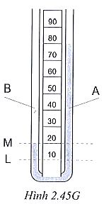 Một bình chữ U chứa các chất lỏng A và B không hòa tan, không phản ứng với nhau