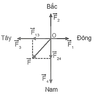 Một vật chịu tác dụng đồng thời của bốn lực như Hình 13.3. Độ lớn của các lực lần lượt là F1 = 10N