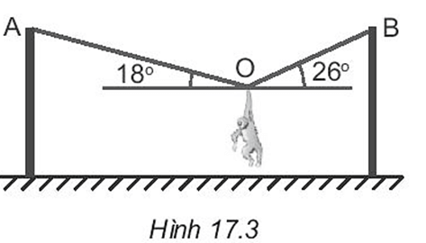 Một chú khỉ diễn xiếc treo mình cân bằng trên dây thừng như Hình 17.3