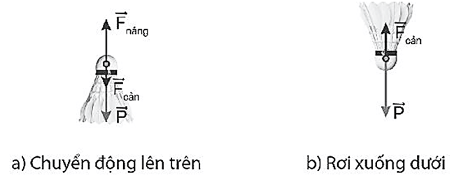 Khi ném một quả cầu lông theo phương thẳng đứng lên cao trong không khí