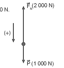 Một người nhảy dù có khối lượng tổng cộng 100 kg. Trong thời gian đầu (khoảng vài giây) kể từ khi bắt đầu nhảy xuống