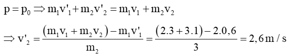 Một quả cầu thứ nhất có khối lượng 2 kg chuyển động với vận tốc 3 m/s