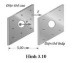 Trong các máy gia tốc hạt (cyclotron), các hạt tích điện được gia tốc giống như cách chúng được gia tốc