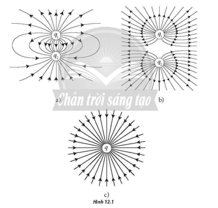 Hình 12.1 mô tả đường sức điện của các điện tích. Hãy xác định dấu của các điện tích trong từng trường hợp