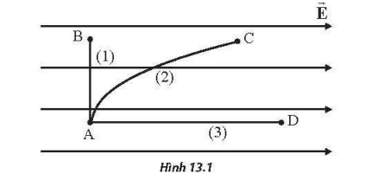 Cho một hạt mang điện dương chuyển động từ điểm A đến điểm B, C, D theo các quỹ đạo khác nhau trong điện trường đều 