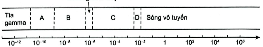 Hình 2.2 cho thấy các phần tử chính của thang sóng điện từ