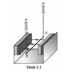 Một đoạn dây dẫn có khối lượng 0,010 kg được treo bằng các lò xo trong từ trường đều