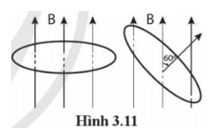 Một vòng dây dẫn phẳng hình tròn có diện tích S = 30 cm^2 ở trong một từ trường đều