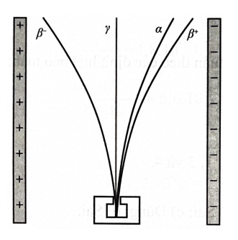 Đặt một số nguồn phóng xạ trong vùng điện trường đều tạo bởi hai bản kim loại