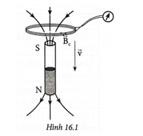 Nối hai đầu cuộn dây dẫn kín với điện kế và cho chuyển động rơi tự do qua một nam châm (Hình 16.1)