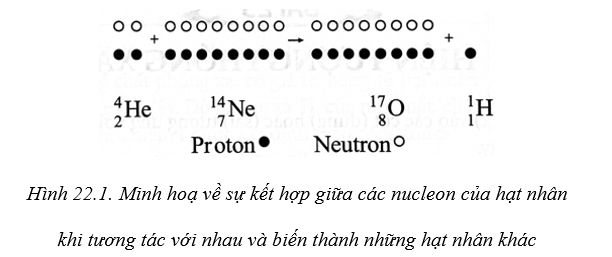 Quan sát Hình 22.1 cho biết: Các hạt nhân O và H được tạo ra từ các nucleon của hạt nhân nào