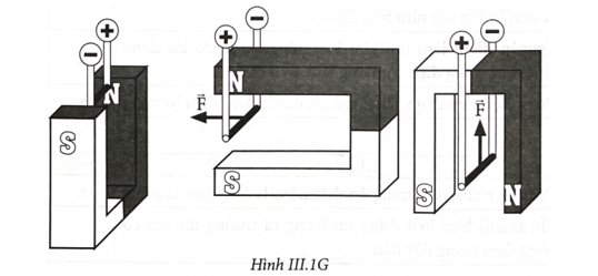 Hãy biểu diễn lực nam châm tác dụng lên đoạn dây dẫn nằm ngang trong các trường hợp ở Hình III.1