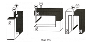 Hãy biểu diễn lực nam châm tác dụng lên đoạn dây dẫn nằm ngang trong các trường hợp ở Hình III.1
