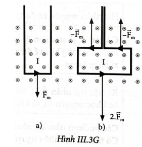 Cho dòng điện chạy trong khung dây đặt vuông góc với vectơ cảm ứng từ của từ trường đều như Hình III.7