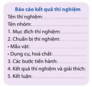 Vẽ và mô tả tóm tắt hình dạng các loại vi khuẩn em đã quan sát được