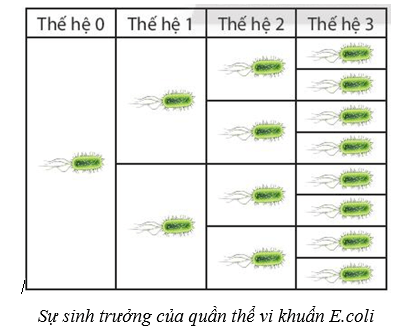 Lý thuyết Sinh học 10 Bài 18: Sinh trưởng và sinh sản ở vi sinh vật - Cánh diều