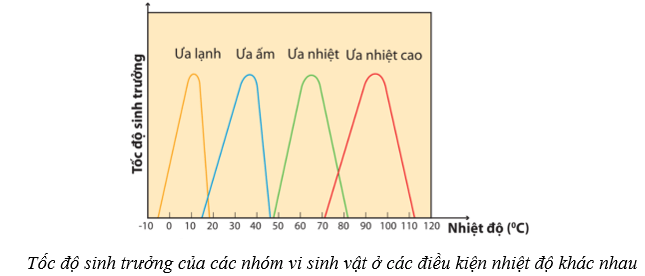 Lý thuyết Sinh học 10 Bài 18: Sinh trưởng và sinh sản ở vi sinh vật - Cánh diều