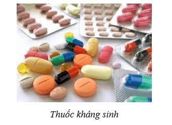 Lý thuyết Sinh học 10 Bài 18: Sinh trưởng và sinh sản ở vi sinh vật - Cánh diều