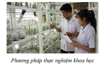 Lý thuyết Sinh học 10 Bài 2: Các phương pháp nghiên cứu và học tập môn Sinh học - Cánh diều