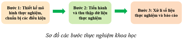 Lý thuyết Sinh học 10 Bài 2: Các phương pháp nghiên cứu và học tập môn Sinh học - Cánh diều