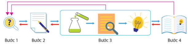 Lý thuyết Sinh học 10 Bài 2: Các phương pháp nghiên cứu và học tập môn Sinh học - Cánh diều