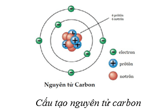 Lý thuyết Sinh học 10 Bài 5: Các nguyên tố hóa học và nước - Cánh diều