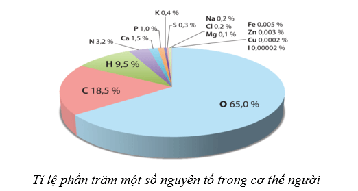 Lý thuyết Sinh học 10 Bài 5: Các nguyên tố hóa học và nước - Cánh diều