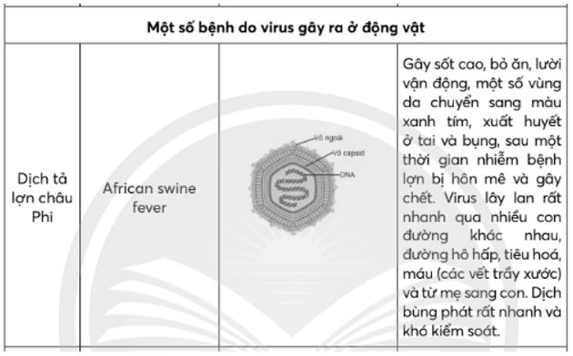 Hãy liệt kê một số bệnh do virus gây ra ở thực vật, động vật và người