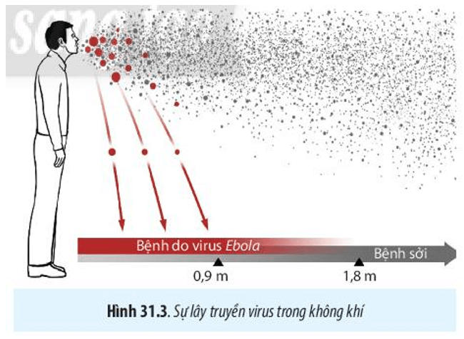 Vì sao bệnh do virus gây ra lại lây lan nhanh, rộng và khó kiểm soát?