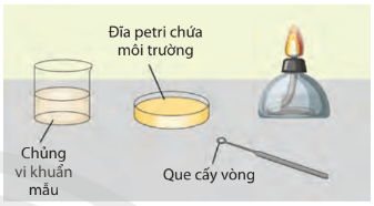 Lý thuyết Sinh 10 Bài 23: Thực hành: Một số phương pháp nghiên cứu vi sinh vật - Chân trời sáng tạo