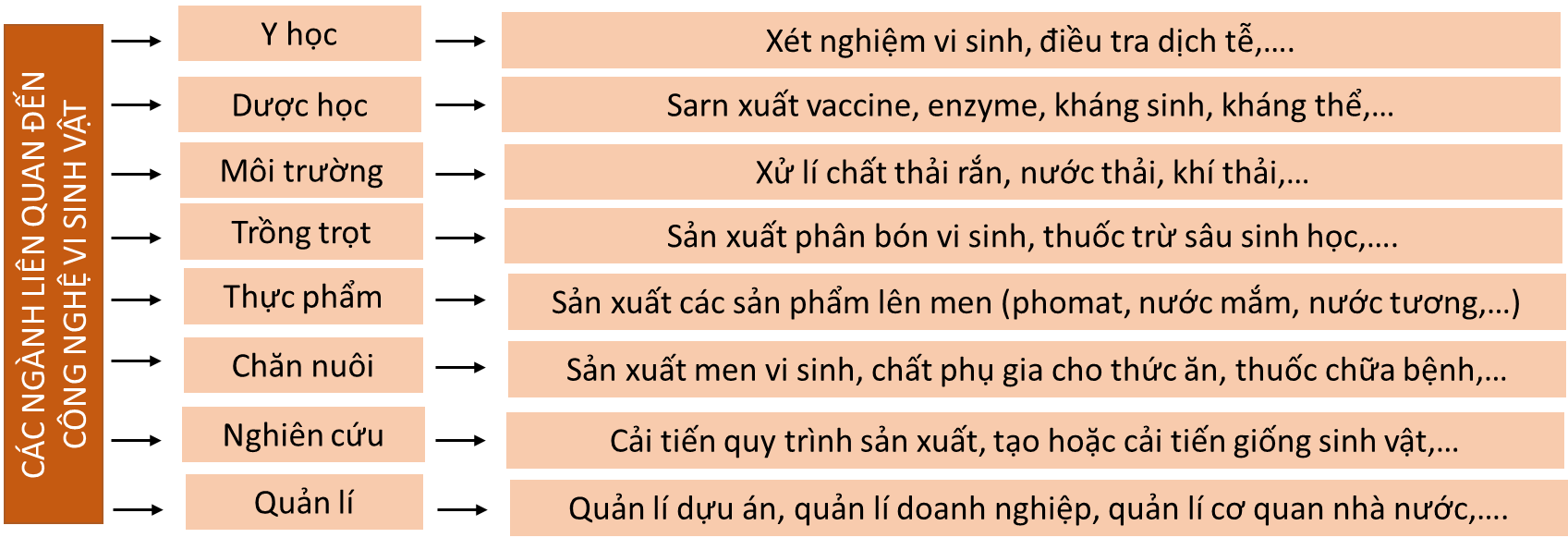 Lý thuyết Sinh 10 Bài 26: Công nghệ vi sinh vật - Chân trời sáng tạo