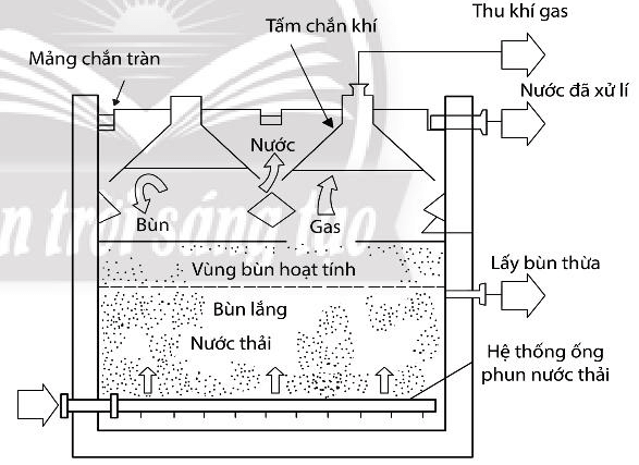 Lý thuyết Sinh 10 Bài 27: Ứng dụng vi sinh vật trong thực tiễn - Chân trời sáng tạo