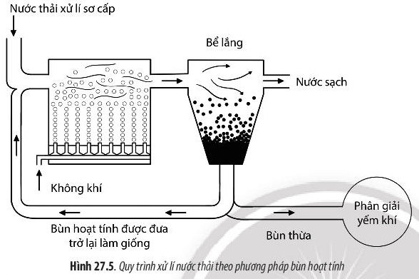 Lý thuyết Sinh 10 Bài 27: Ứng dụng vi sinh vật trong thực tiễn - Chân trời sáng tạo