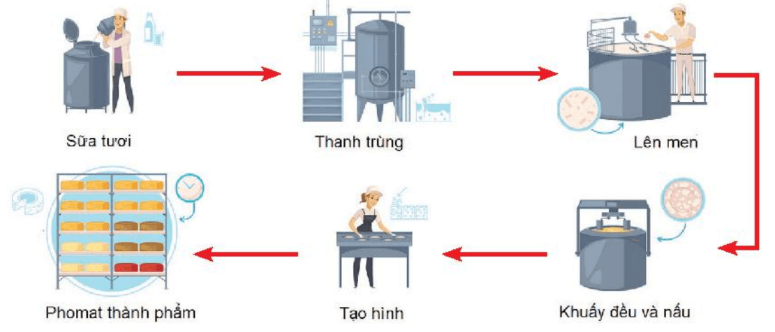 Lý thuyết Sinh 10 Bài 27: Ứng dụng vi sinh vật trong thực tiễn - Chân trời sáng tạo