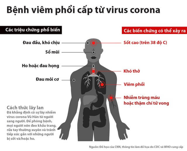 Lý thuyết Sinh 10 Bài 29: Virus - Chân trời sáng tạo