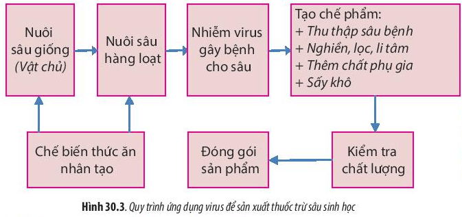 Lý thuyết Sinh 10 Bài 30: Ứng dụng của virus trong y học và thực tiễn - Chân trời sáng tạo