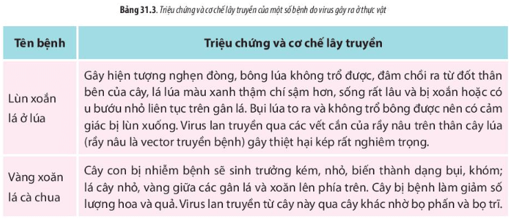 Lý thuyết Sinh 10 Bài 31: Virus gây bệnh - Chân trời sáng tạo