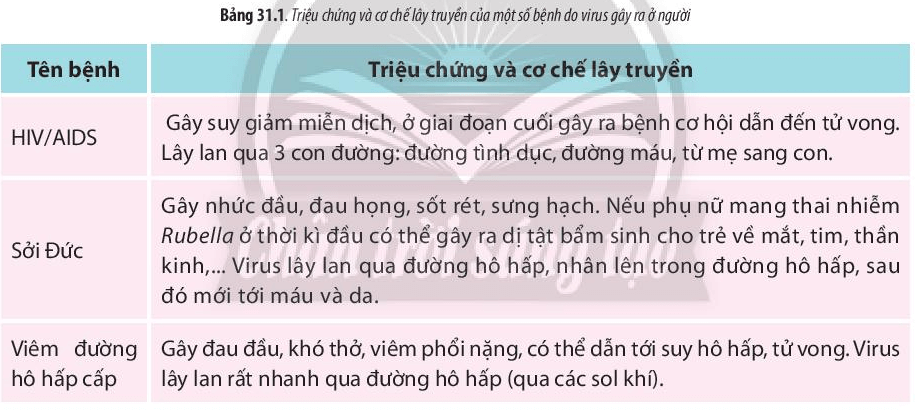 Lý thuyết Sinh 10 Bài 31: Virus gây bệnh - Chân trời sáng tạo