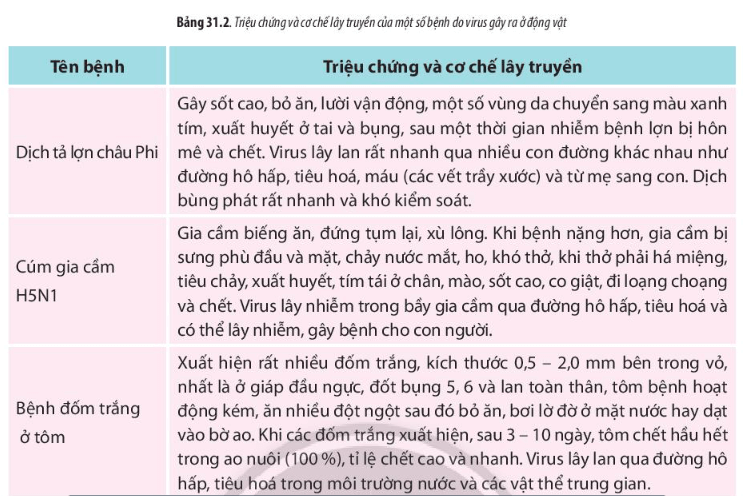 Lý thuyết Sinh 10 Bài 31: Virus gây bệnh - Chân trời sáng tạo