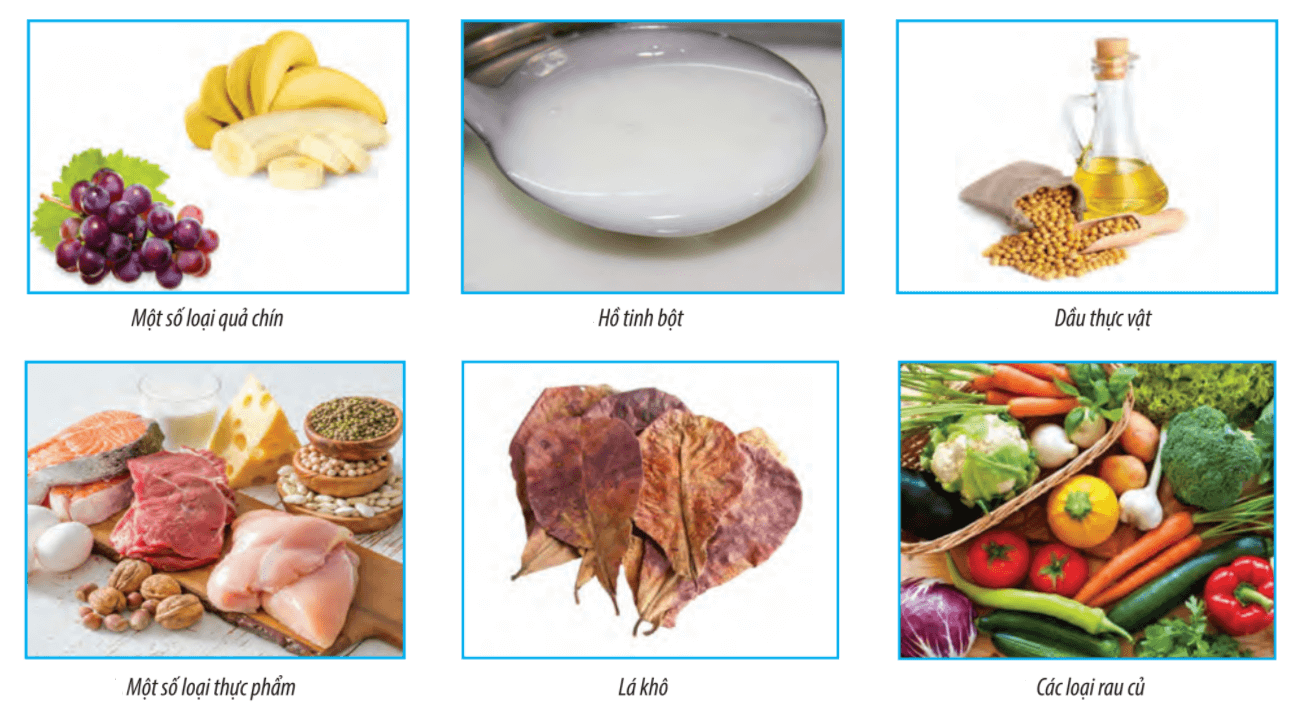 Lý thuyết Sinh 10 Bài 7: Thực hành: Xác định một số thành phần hóa học của tế bào - Chân trời sáng tạo