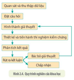 Quan sát hình 2.4, nêu trình tự các bước trong tiến trình nghiên cứu khoa học (ảnh 1)