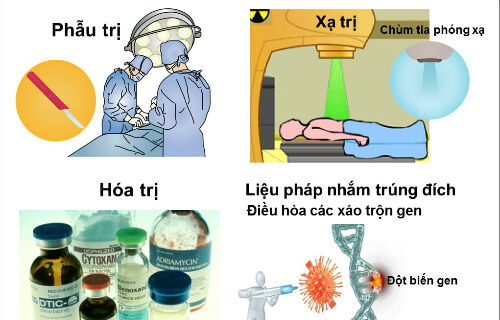 Lý thuyết Sinh 10 Bài 16: Chu kì tế bào và nguyên phân - Kết nối tri thức